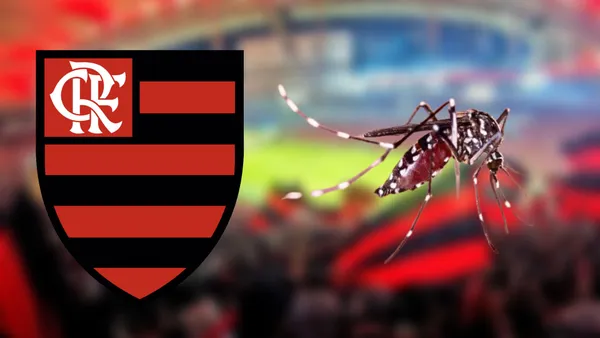 Allan do Flamengo está com dengue