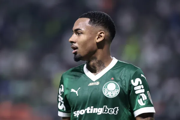 Allan marcou um dos gols do Palmeiras contra o Botafogo. Foto: Marcelo Zambrana/AGIF