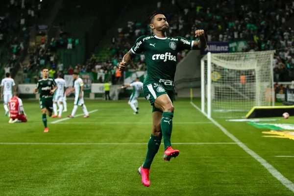 Dudu está de volta ao Palmeiras