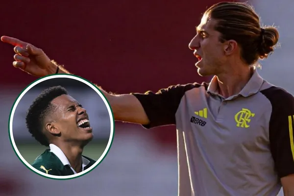 Estevão em detalhe pelo Palmeiras