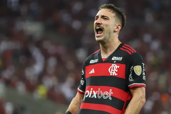 Foto: Flamengo/Divulgação