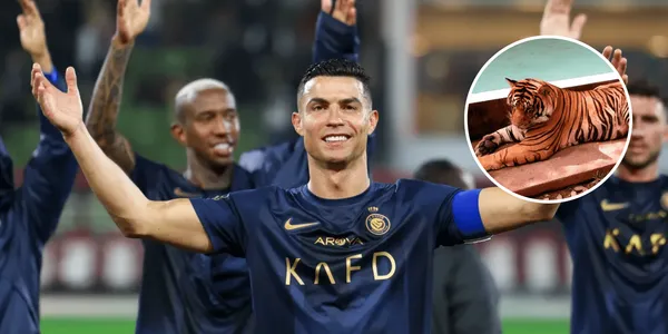 Jogador brasileiro postou foto no Instagram onde está próximo a um tigre