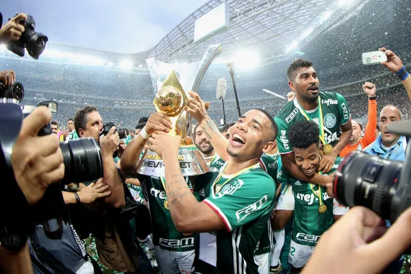 Nascido no Palmeiras, onde marcou 28 golos em 83 jogos