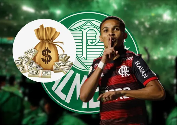 O Palmeiras acabou de fechar contrato com o novo reforço