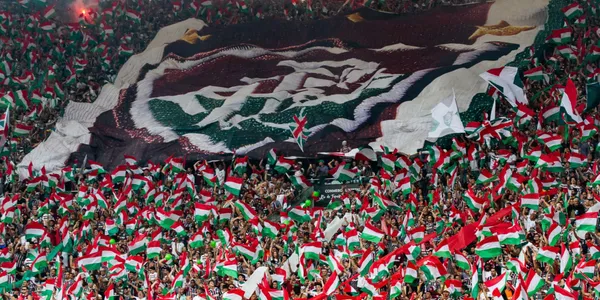 O reforço que o Fluminense tem para 2025 (Foto: Fluminense)