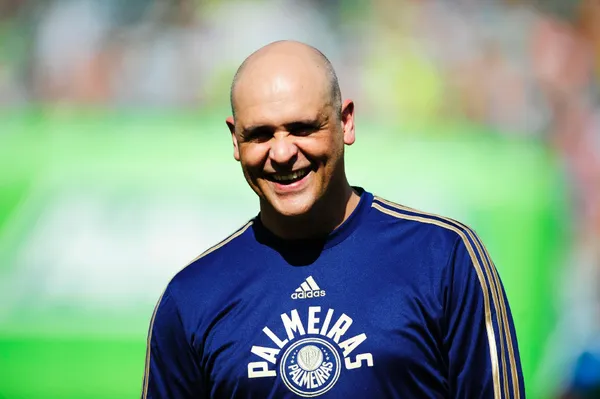 Palmeiras atropelou equipe equatoriana