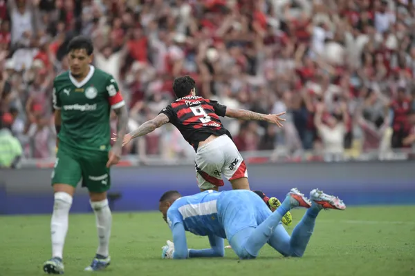 Pedro pode superar Gabigol e virar maior artilheiro do Flamengo no século - Foto Thiago RibeiroAGIF
