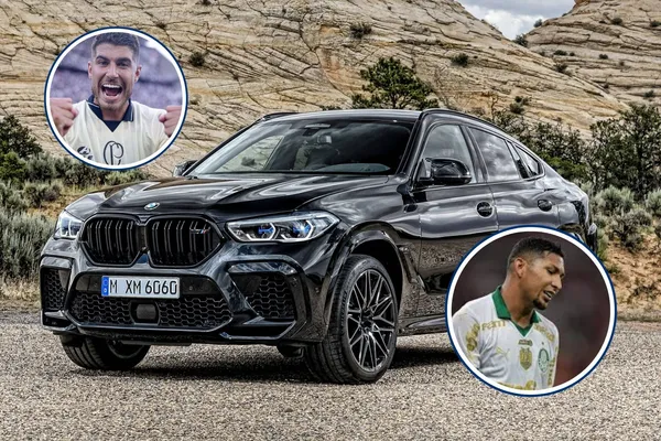 Pedro Raul e Rony em detalhes