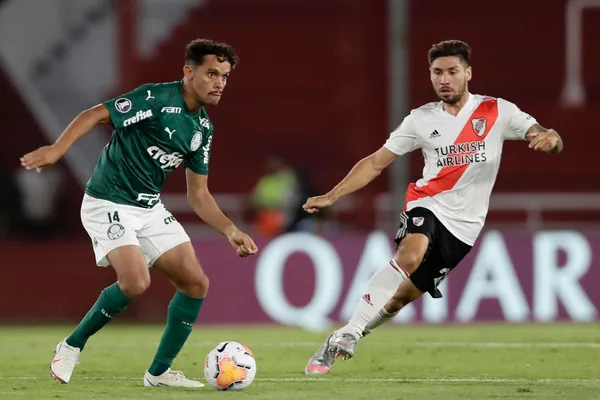 Verdão está na grande final da Copa Libertadores 2020