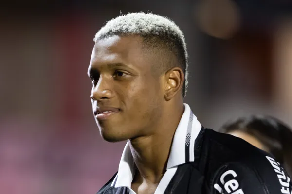 Volante tem futuro incerto no Botafogo - Foto: Ettore Chiereguini/AGIF.