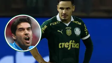 Abel Ferreira em detalhe