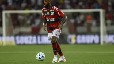 Foto: Flamengo/Divulgação