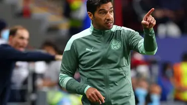 Foto: Palmeiras/Divulgação