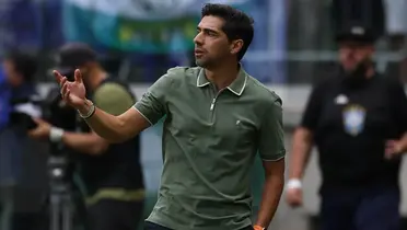 Foto: Palmeiras/Divulgação