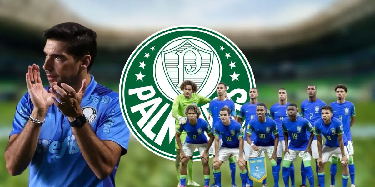 Palmeiras tem reforço de Seleção Brasileira 