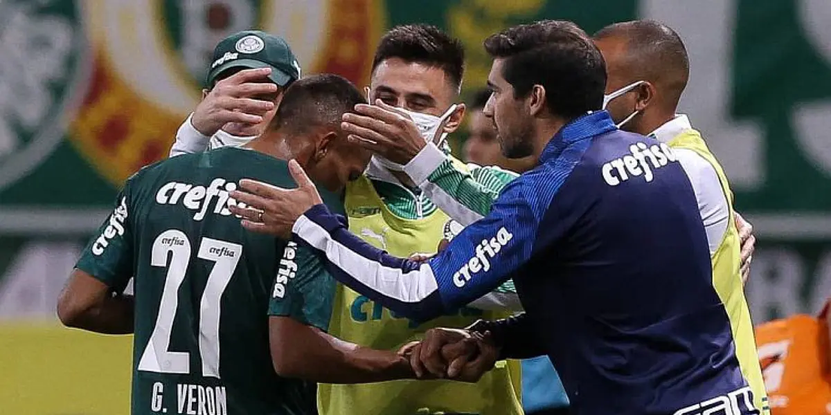 Treinador do palestra falou sobre a força que o Palmeiras tem apresentado nos últimos jogos