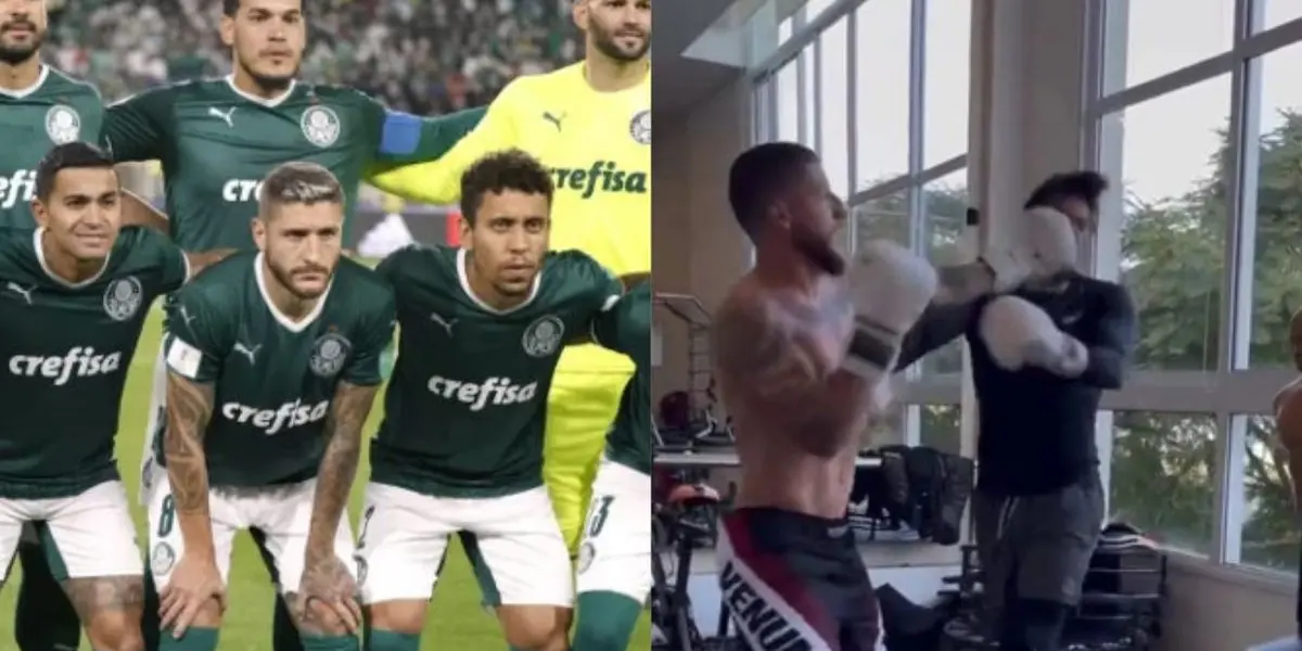 Vídeo mostra jogadores do Palmeiras praticando boxe