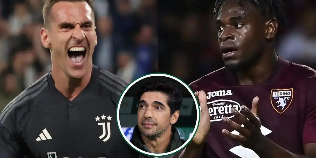 Abel Ferreira em detalhe