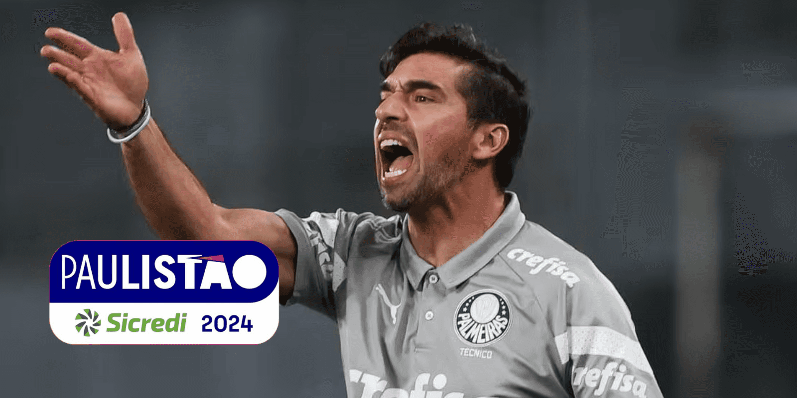 Abel Ferreira em partida pelo Palmeiras