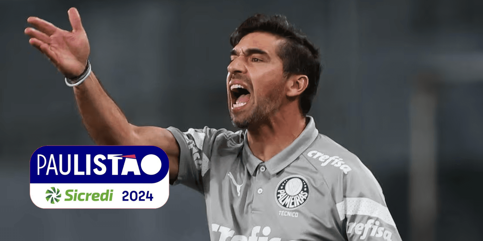 Abel Ferreira em partida pelo Palmeiras