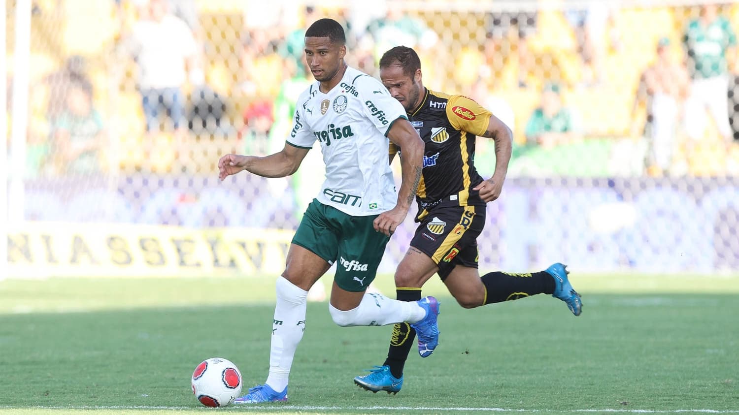 Alviverde encara São Bernardo pela segunda rodada do Campeonato Paulista