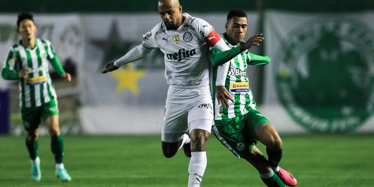Após vaga na final da Copa Libertadores 2021, Palmeiras volta suas atenções para o Campeonato Brasileiro