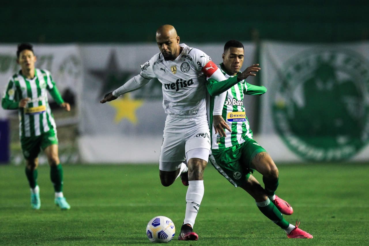 Após vaga na final da Copa Libertadores 2021, Palmeiras volta suas atenções para o Campeonato Brasileiro