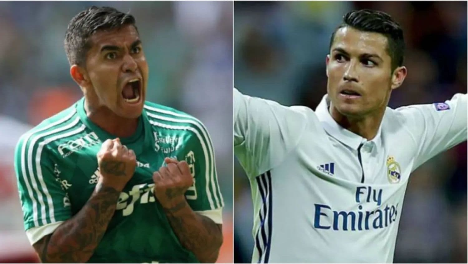 Astro do futebol, Cristiano Ronaldo faz o Palmeiras lucrar como nunca