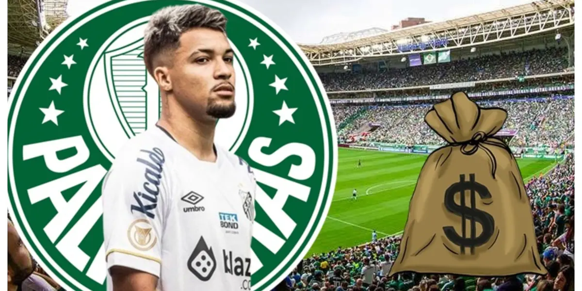 Atacante pode reforçar o Verdão em 2024