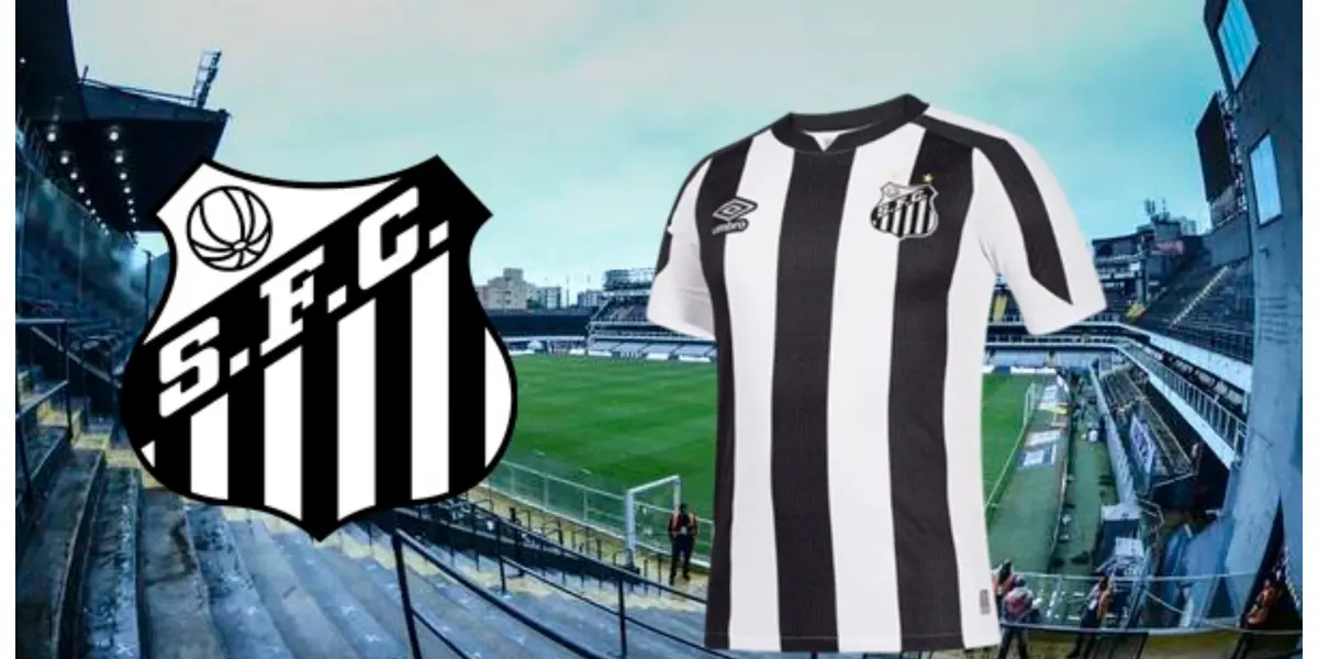 Atacante pode ser o primeiro reforço do Peixe para a Série B