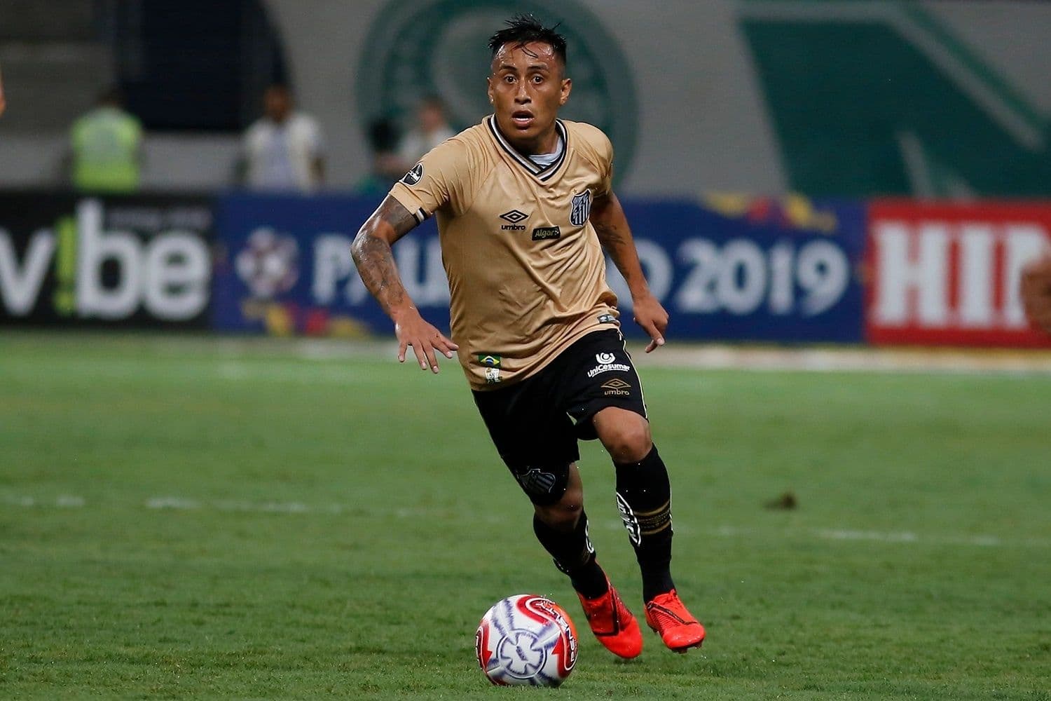 Atleta pode ser a salvação do Santos