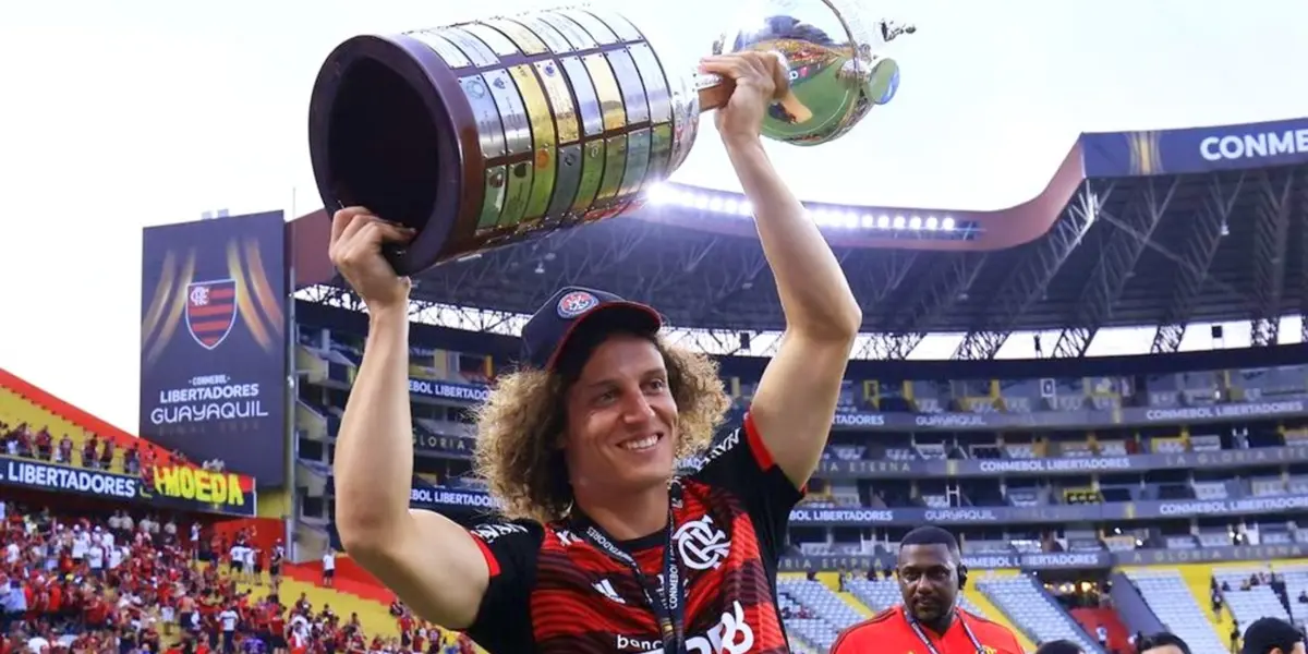 David Luiz foi campeão da Libertadores pelo Flamengo