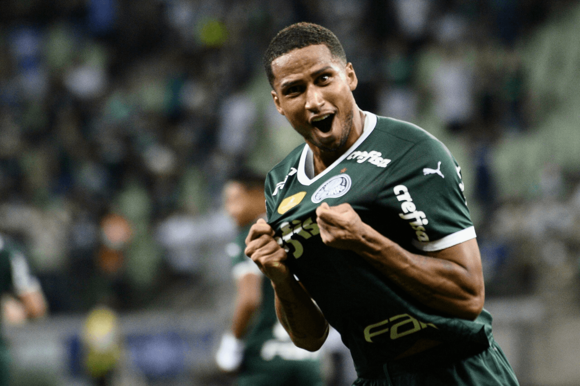 Defensor queria jogar no Palmeiras, mas acordo não aconteceu