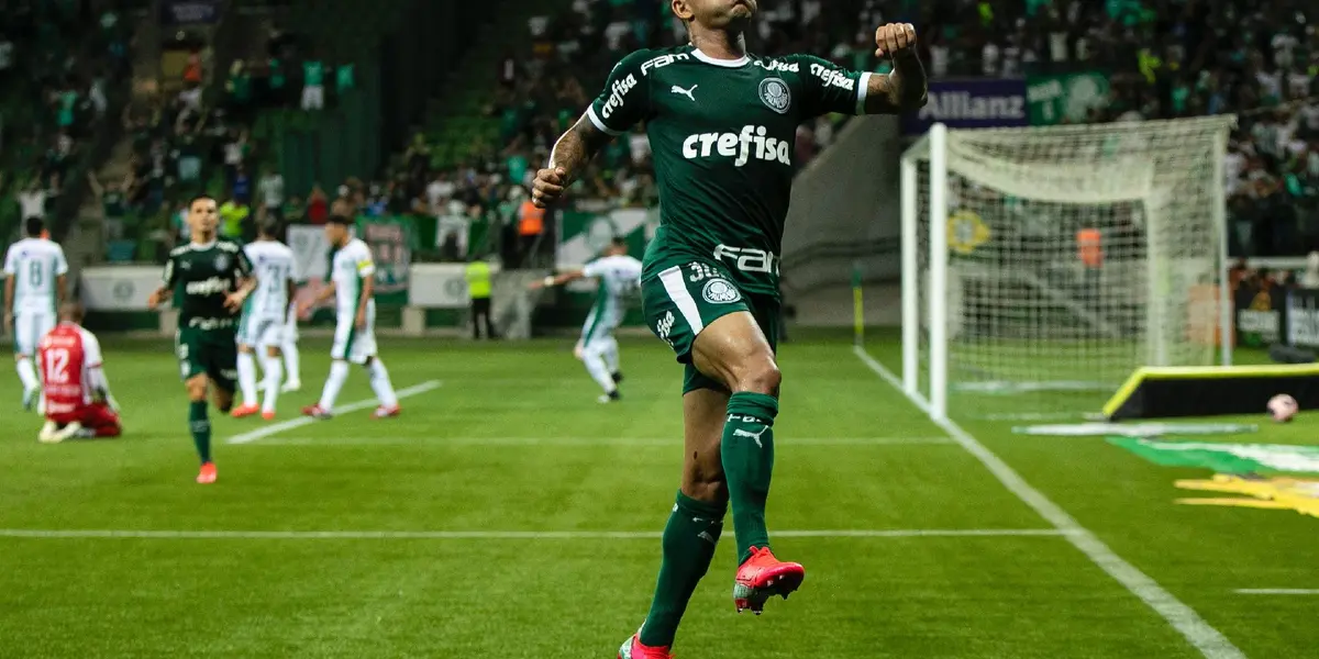 Dudu está de volta ao Palmeiras