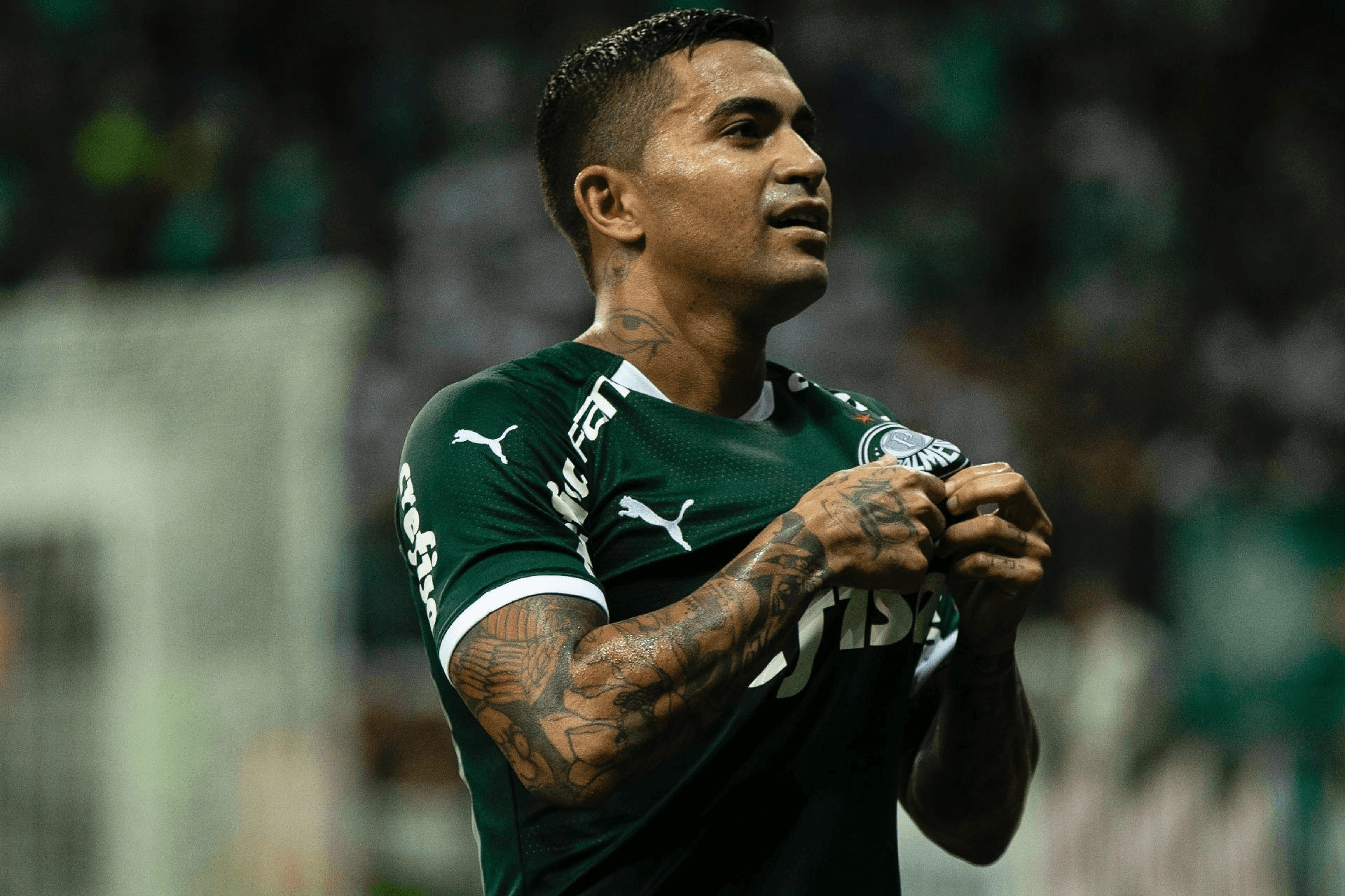 Dudu veio à público se pronunciar sobre possível polêmica com Abel Ferreira