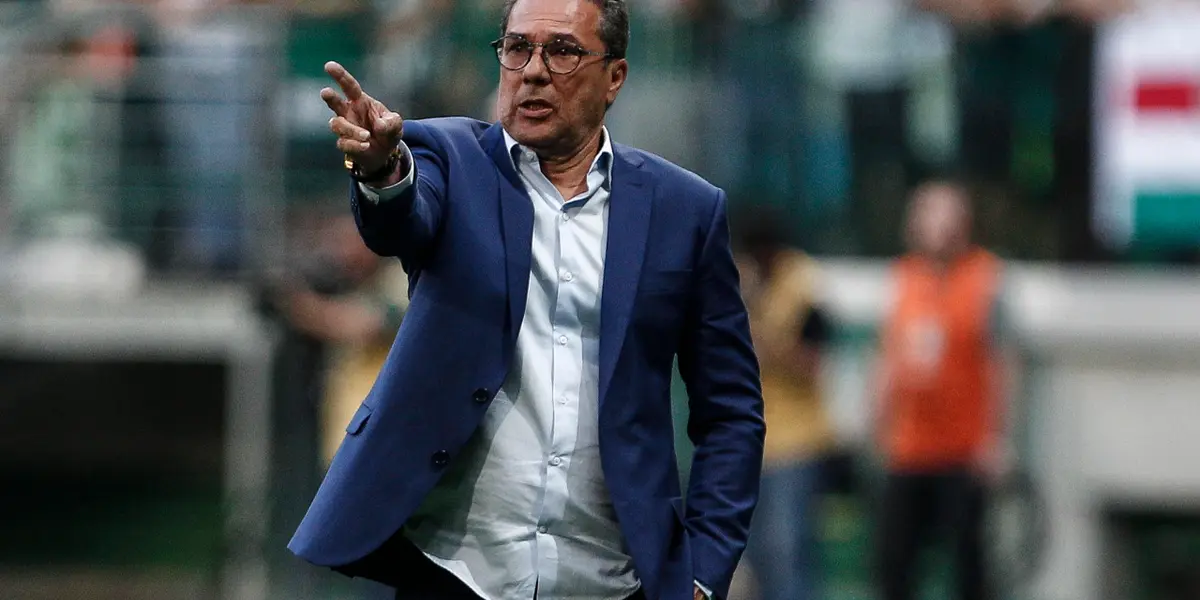 Ele teve passagem muito rápida pelo Verdão