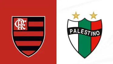 Escudo do Flamengo e Palestino