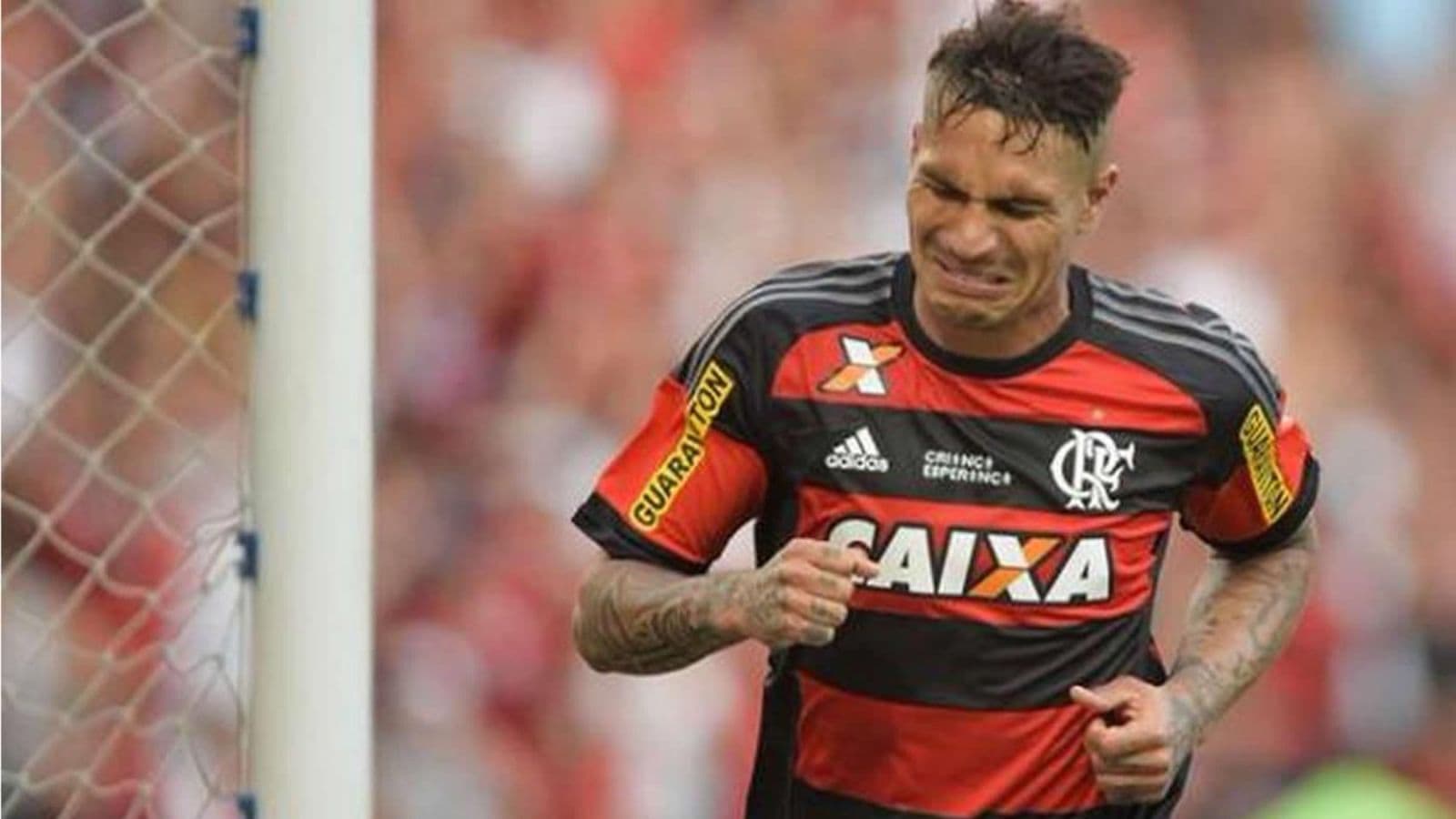 Está tudo acabado para o 'Predator'
