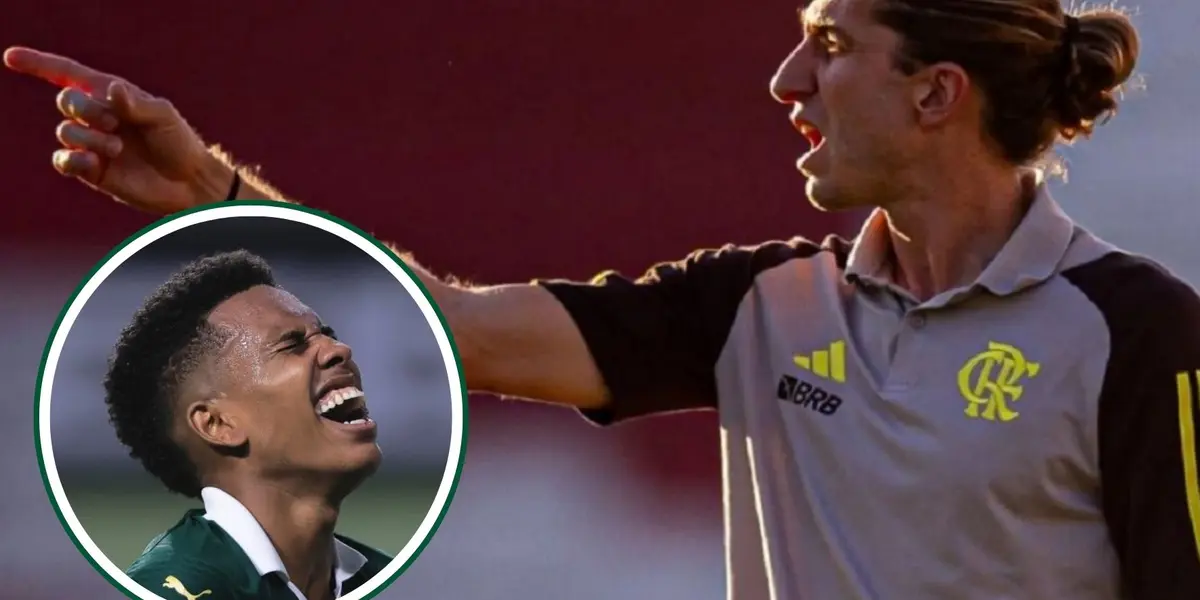 Estevão em detalhe pelo Palmeiras