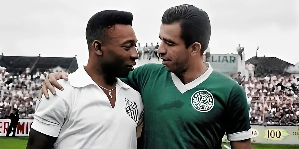 Ex-jogador e ídolo do Palmeiras faleceu