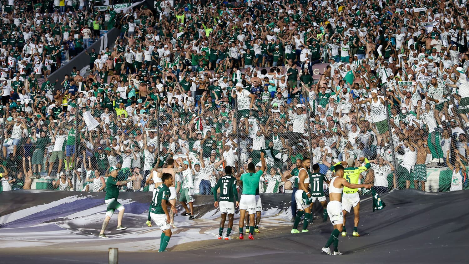 Finalistas da última edição vem dando show