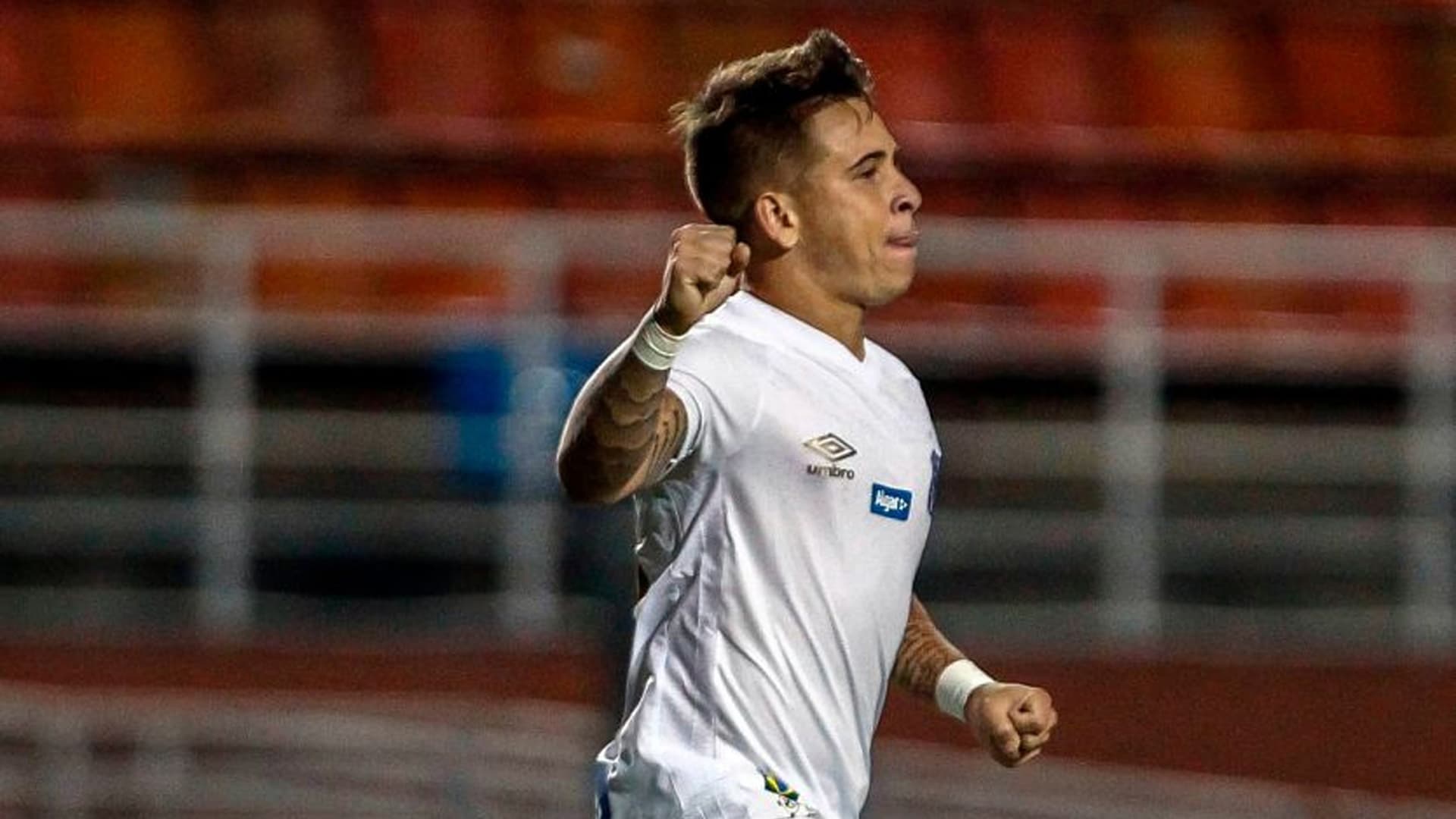 Flamengo busca nomes no mercado para melhorar o plantel da equipe