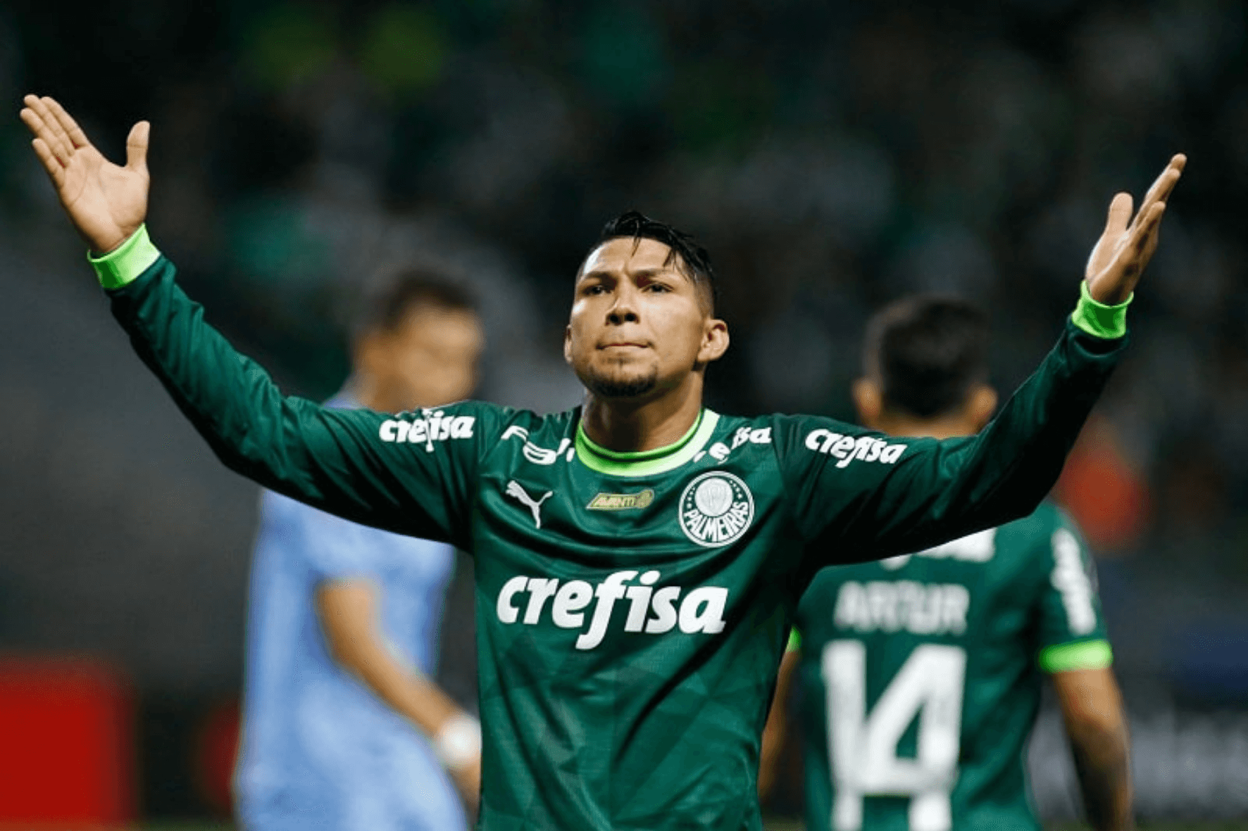 Foto: Divulgação