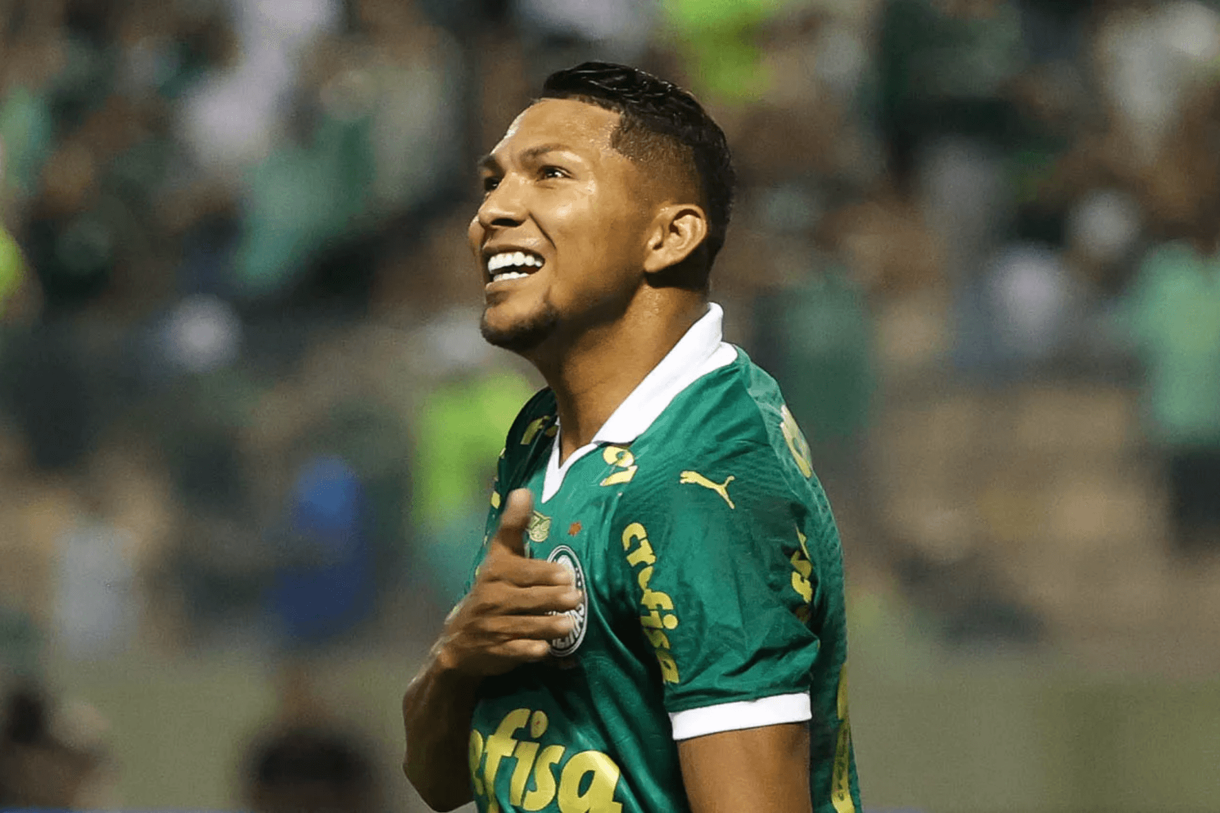 Foto: Palmeiras/Divulgação