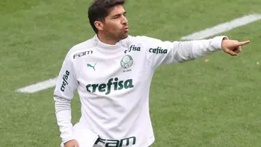 Foto: Palmeiras/Divulgação