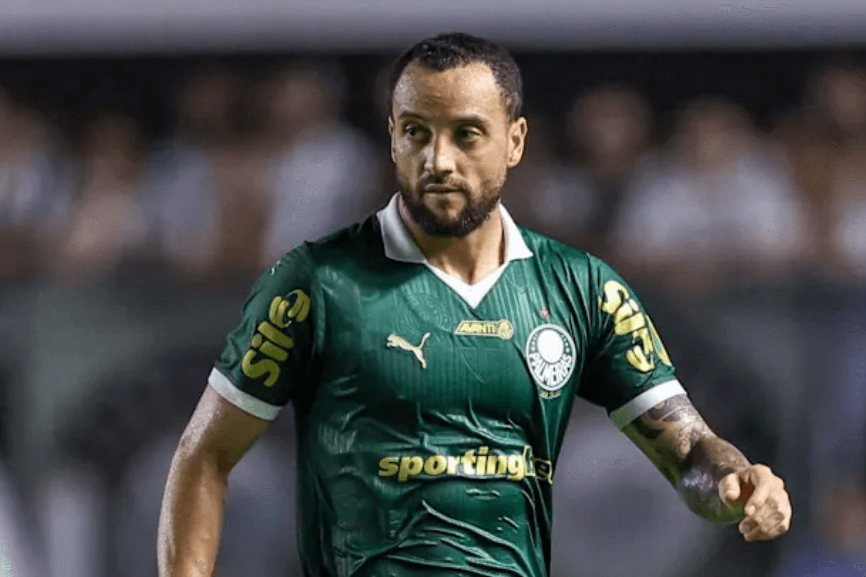 Foto: Palmeiras/Divulgação