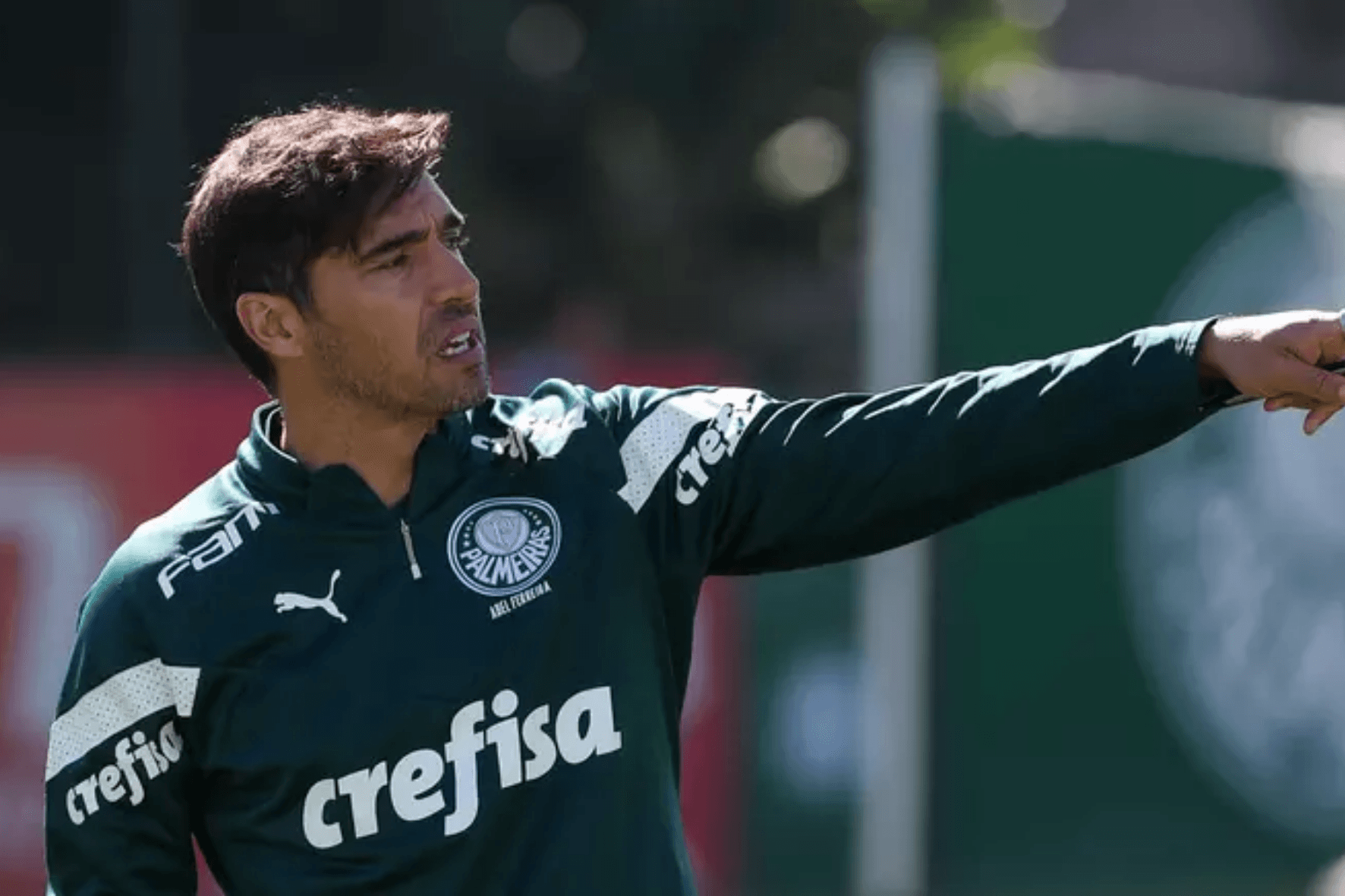 Foto: Palmeiras/Divulgação