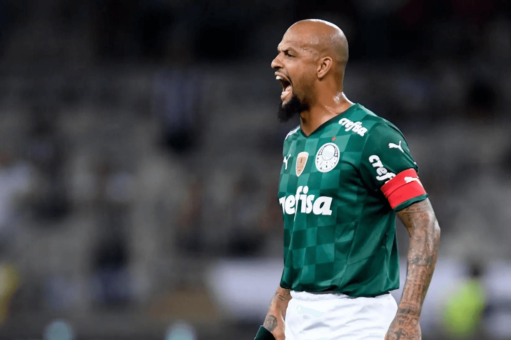 Foto: Palmeiras/Divulgação