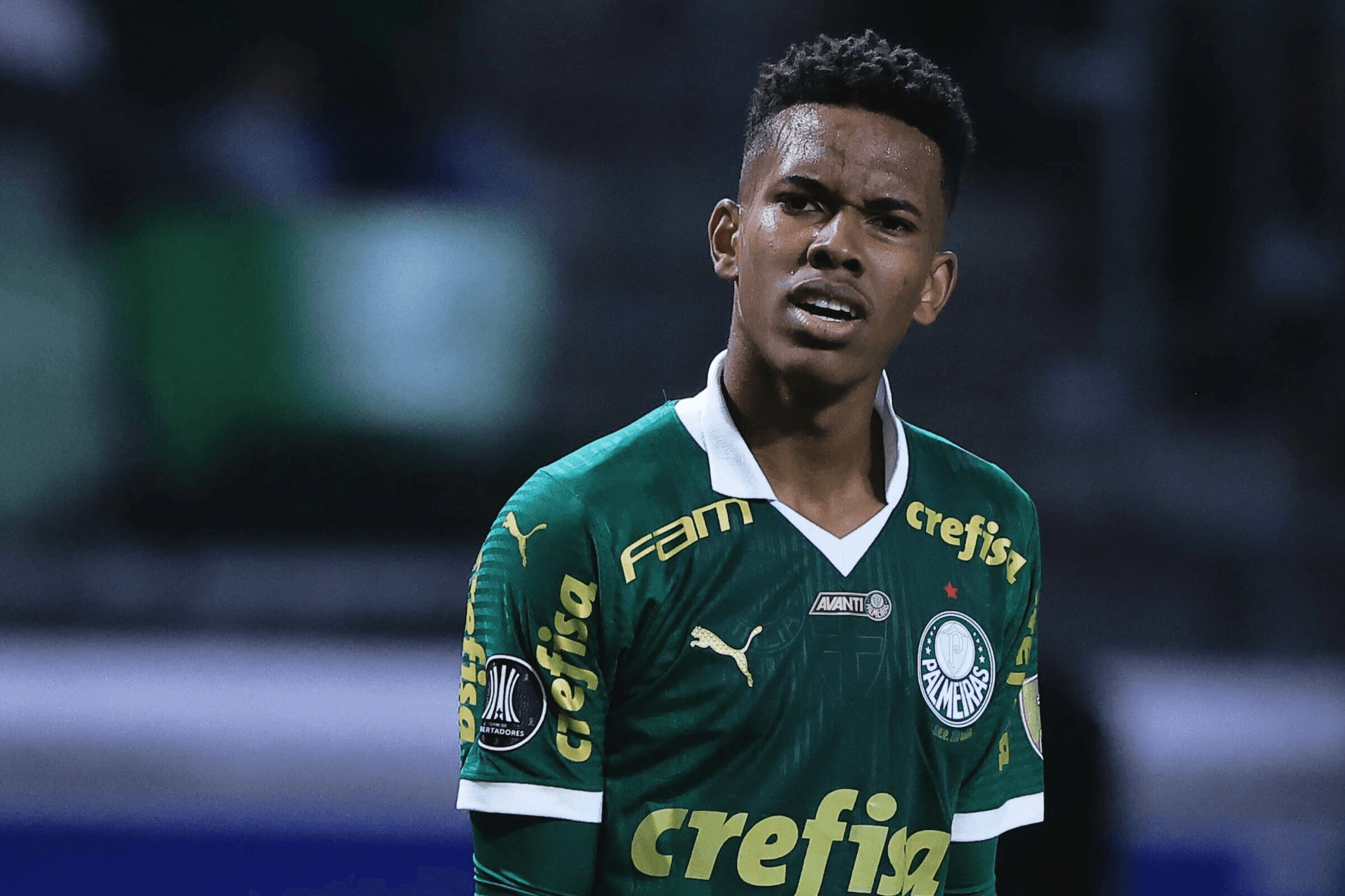 Foto: Palmeiras/Divulgação