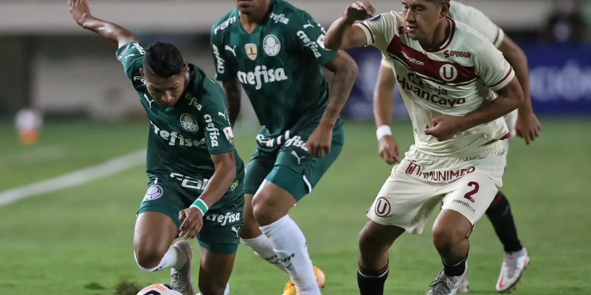 Já classificado, Palmeiras busca a segunda melhor campanha geral